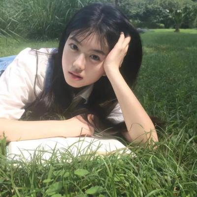 黑狐之风影封面
